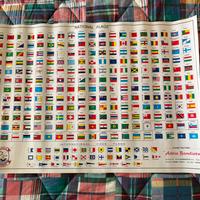 Poster con tutte le bandiere