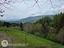 Immagine 29