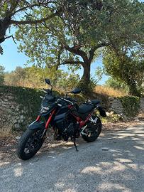 Honda hornet 750 2024