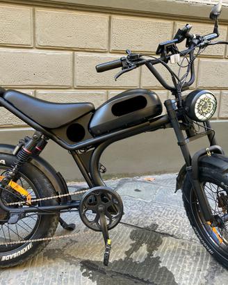 bici elettrica 1000W