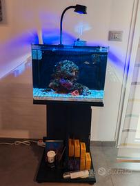 MINI REEF ACQUARIO MARINO 40 LITRI COMPLETO