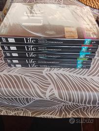 5 DVD documentario Life  di David atteborough 