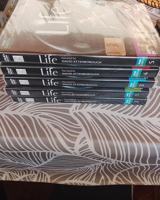 5 DVD documentario Life  di David atteborough 
