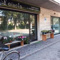 Locale commerciale/Ufficio San Possidonio