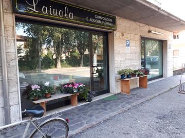 Locale commerciale/Ufficio San Possidonio