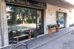 Locale commerciale/Ufficio San Possidonio