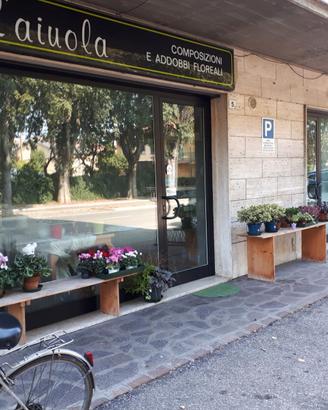Locale commerciale/Ufficio San Possidonio