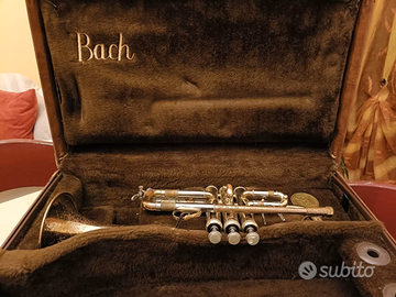 Bach STRADIVARIUS Mod. 304 - Tromba in Mi bemolle