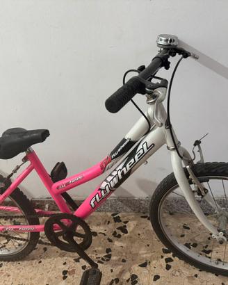 Bicicletta mountainbike