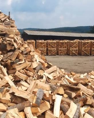 legna da ardere secca 