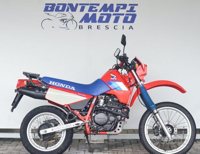 Moto usata HONDA Hornet 600 2004 del 2004 - Bontempi Motors Sas