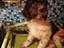 Immagine 6