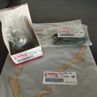 Catena distribuzione Yamaha Raptor 700