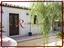 Immagine 10