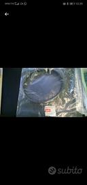 Cinghia Leonardo/Scarabeo/BMW C1/Kymco/Ciak/F18