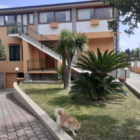 Appartamento Elba a 200 mt dal mare