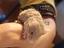 Immagine 6