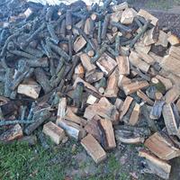 legna da ardere leccio e quercia 100 euro a mc