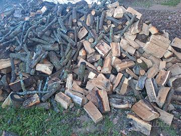 legna da ardere leccio e quercia 100 euro a mc
