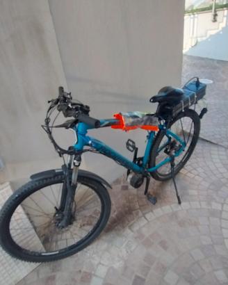 Bicicletta elettrica 