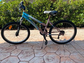 Mountain bike in buone condizioni
