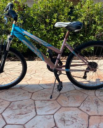 Mountain bike in buone condizioni