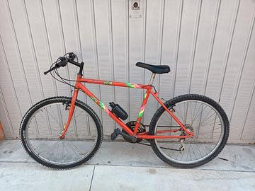 Bicicletta Mountain bike