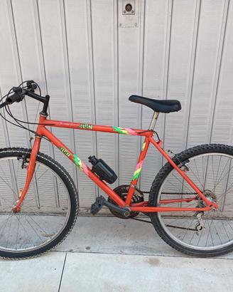 Bicicletta Mountain bike