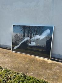 Quadro con cornice in alluminio