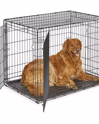 Gabbia per cani