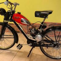 Bianchi aquilotto rapallo