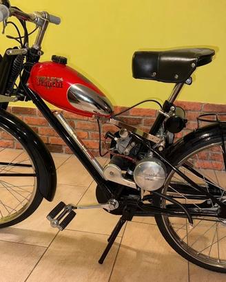 Bianchi aquilotto rapallo