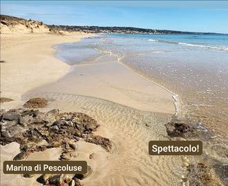 Casa Verdi Pescoluse a 100 metri dal mare