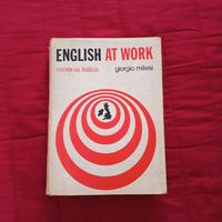Libro "English at work"