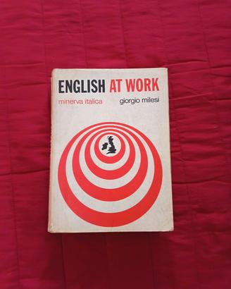 Libro "English at work"