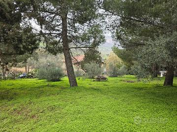 Villetta A Bolognetta