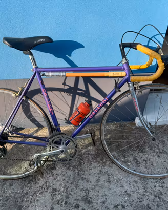 Bicicletta da corsa vintage