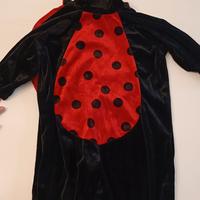 vestito carnevale coccinella per bambini 