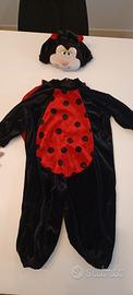 vestito carnevale coccinella per bambini 
