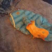 piumino imbottito per cane piccolo