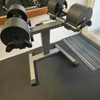 Manubri 2-32kg Lacertosus