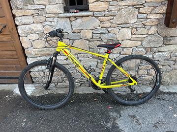 Bici montbike Lombardo