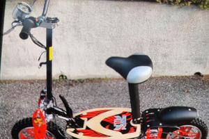 Altro Altro modello - 2020