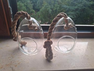 Terrari sospesi in vetro