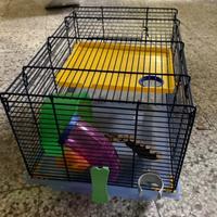 Gabbietta per roditori