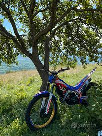 Beta evo factory 250 2t 2022