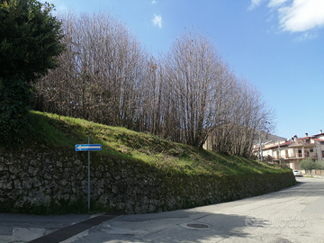 Terreno edificabile Cerisano