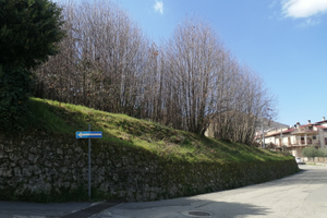 Terreno edificabile Cerisano
