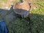 Immagine 6