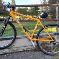 bicicletta MTB